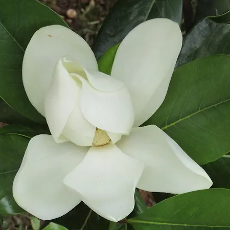 Konukevi Katarina 4*