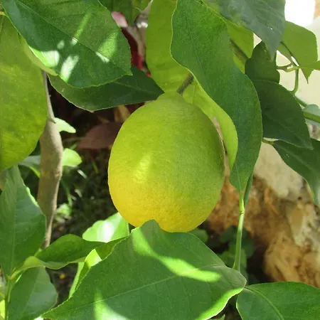 게스트하우스 Katarina