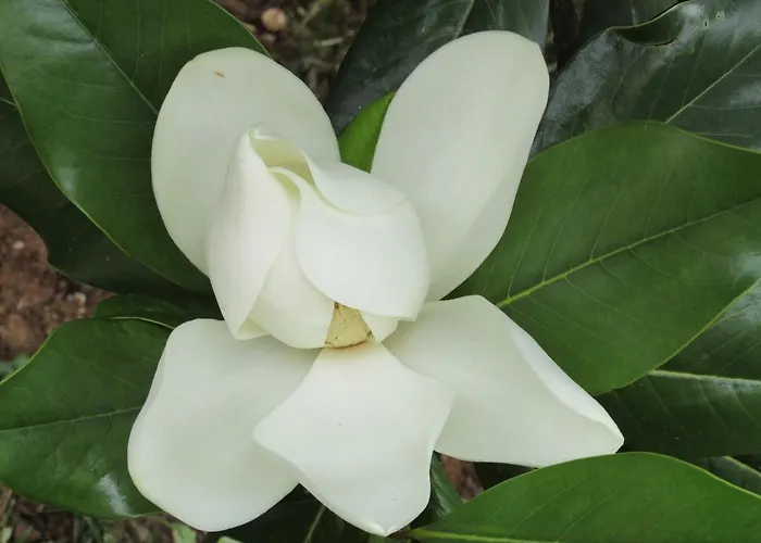 Affittacamere Katarina 4*