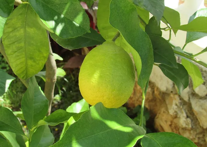 Gostinjska kuća Katarina